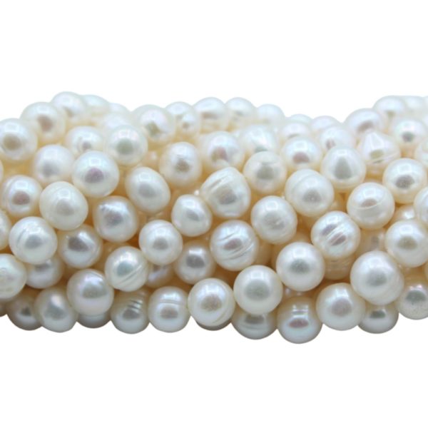 Freshwater Pearl - Semi Round - 7 - 8mm - 34cm Strand