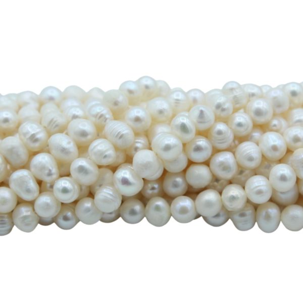 Freshwater Pearl - Semi Round - 5 - 6mm - 34cm Strand