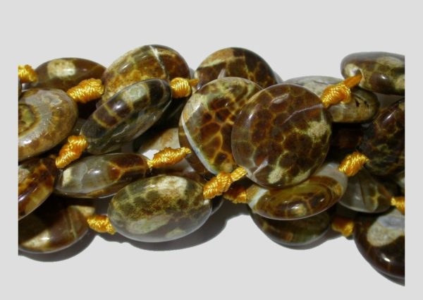 Tiger Agate - 20mm Coin - 38cm Strand