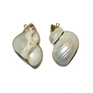 Shell Charm / Pendant