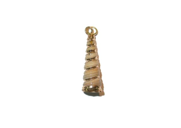 Peri-Winkle Shell Charm / Pendant