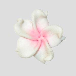 Flower - 15mm - Pink / White